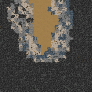assets_item_title_Map_square