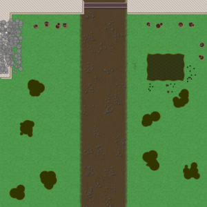 assets_item_title_Map_square