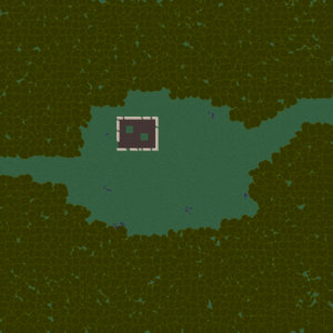 assets_item_title_Map_square