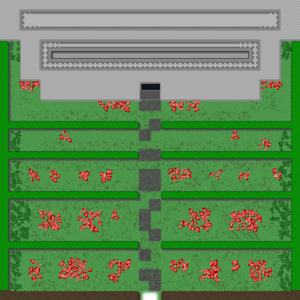 assets_item_title_Map_square