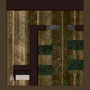 RPG map
