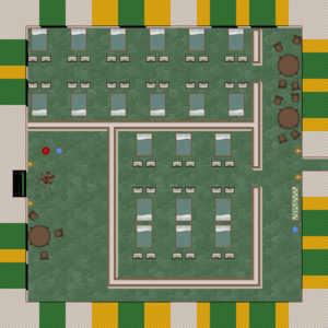 assets_item_title_Map_square