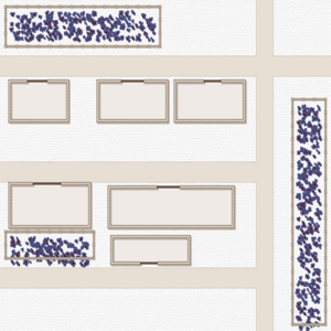 assets_item_title_Map_square