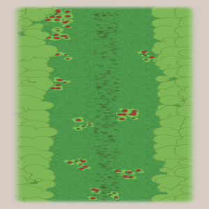 assets_item_title_Map_square