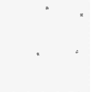 assets_item_title_Map_square