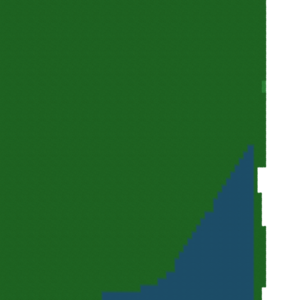 assets_item_title_Map_square