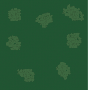 assets_item_title_Map_square