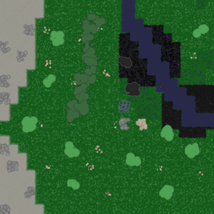 assets_item_title_Map_square