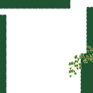 assets_item_title_Map_square