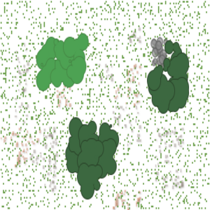 assets_item_title_Map_square