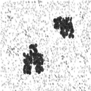 assets_item_title_Map_square