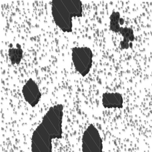 assets_item_title_Map_square