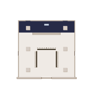 assets_item_title_Map_square