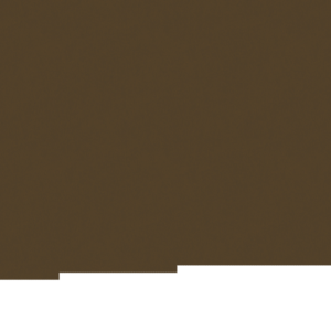 assets_item_title_Map_square