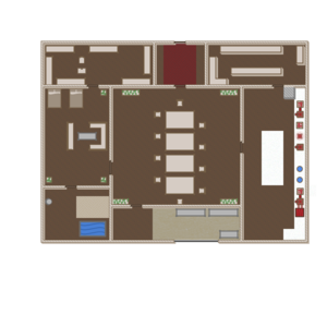 assets_item_title_Map_square
