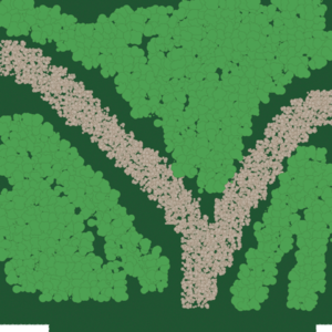 assets_item_title_Map_square