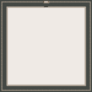 assets_item_title_Map_square