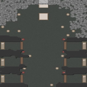 assets_item_title_Map_square