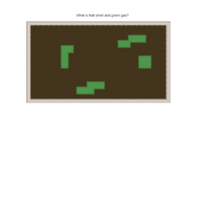 assets_item_title_Map_square