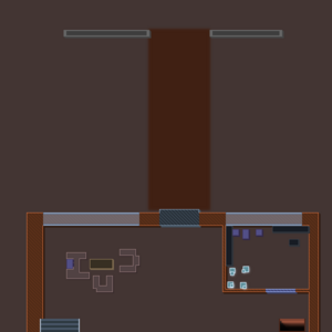 assets_item_title_Map_square