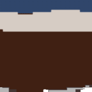 assets_item_title_Map_square