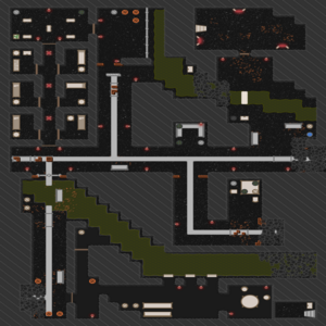 assets_item_title_Map_square
